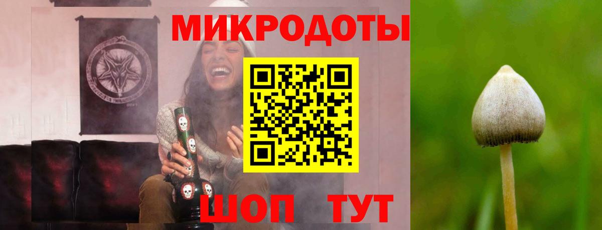 Псилоцибиновые грибы Cubensis  Псилоцибиновые грибы Magic Shrooms  Кудымкар  даркнет сайт  Вход с VPN 